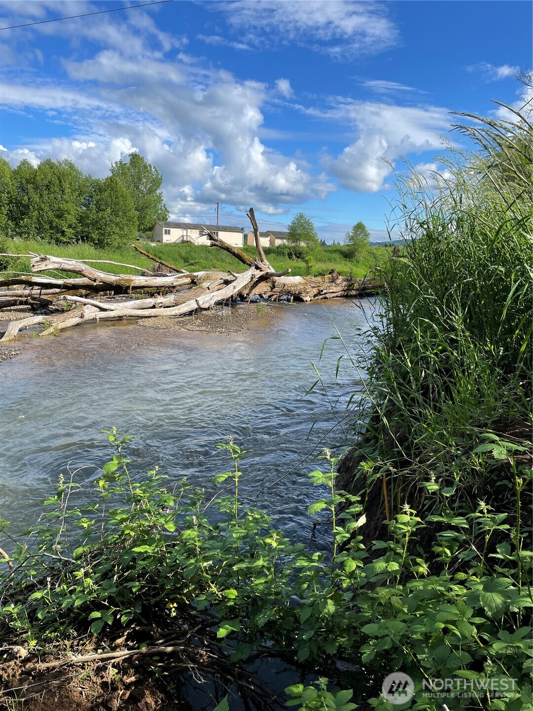 0 Boistfort Road Curtis, WA 98538 - Photo 4 of 24