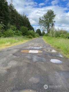 0 Boistfort Road Curtis, WA 98538 - Photo 6 of 24