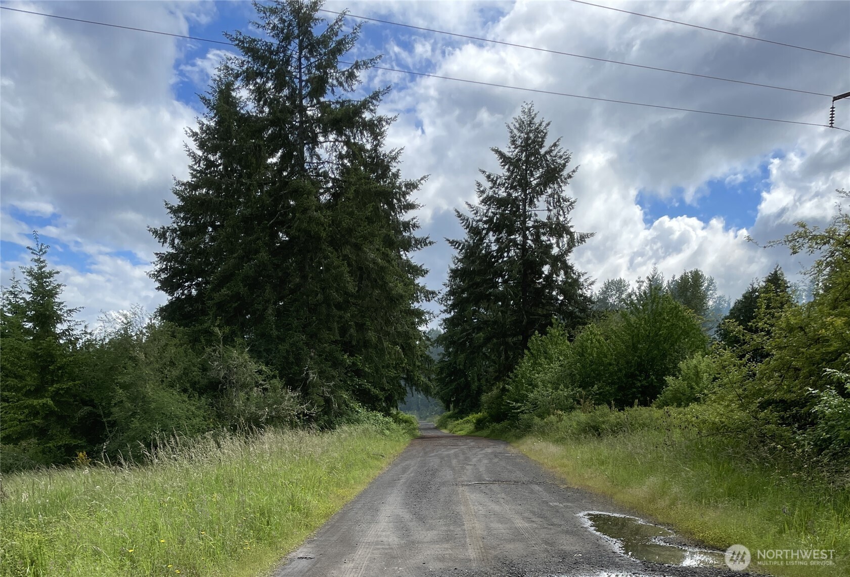 0 Boistfort Road Curtis, WA 98538 - Photo 7 of 24