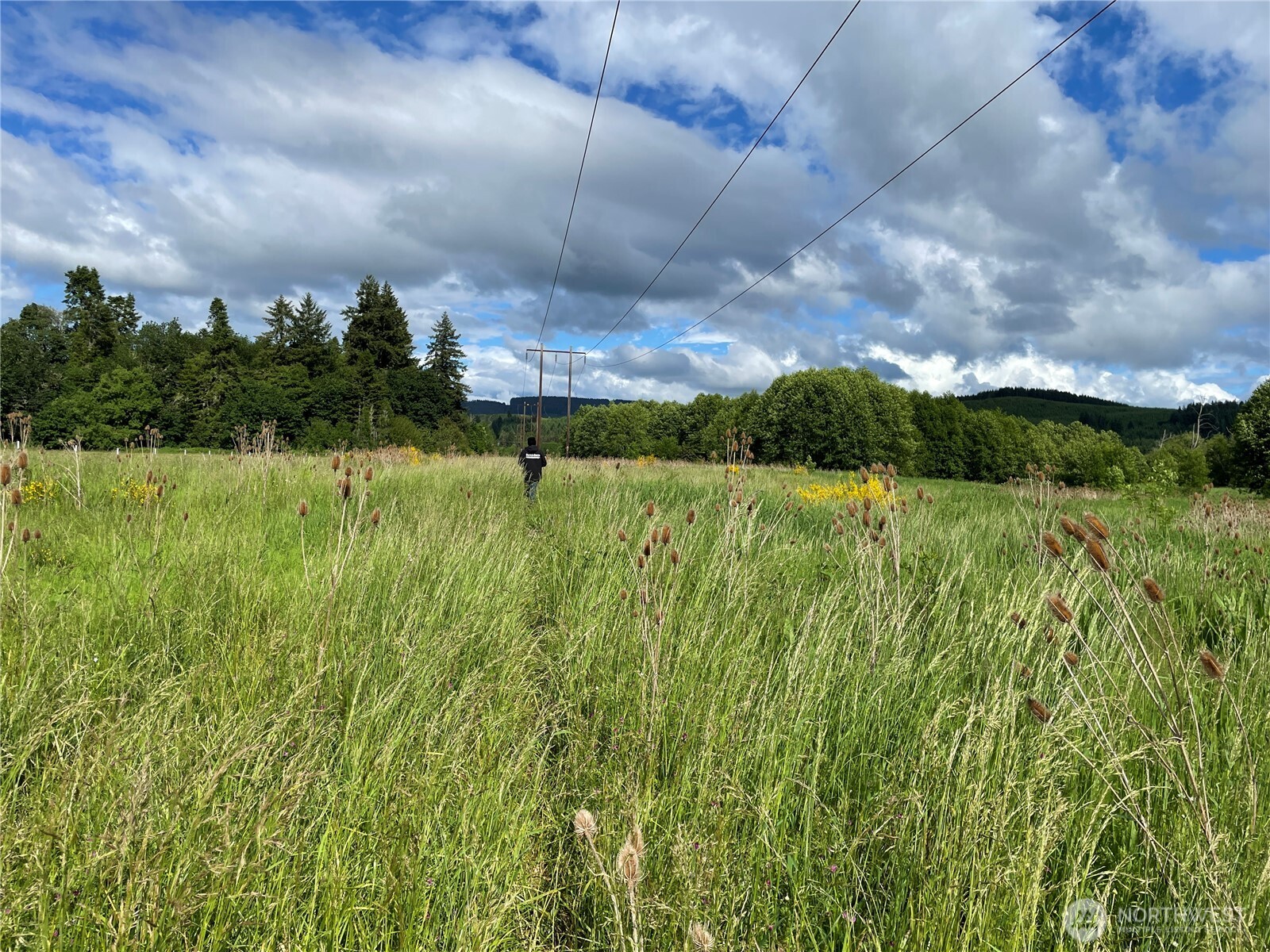 0 Boistfort Road Curtis, WA 98538 - Photo 8 of 24