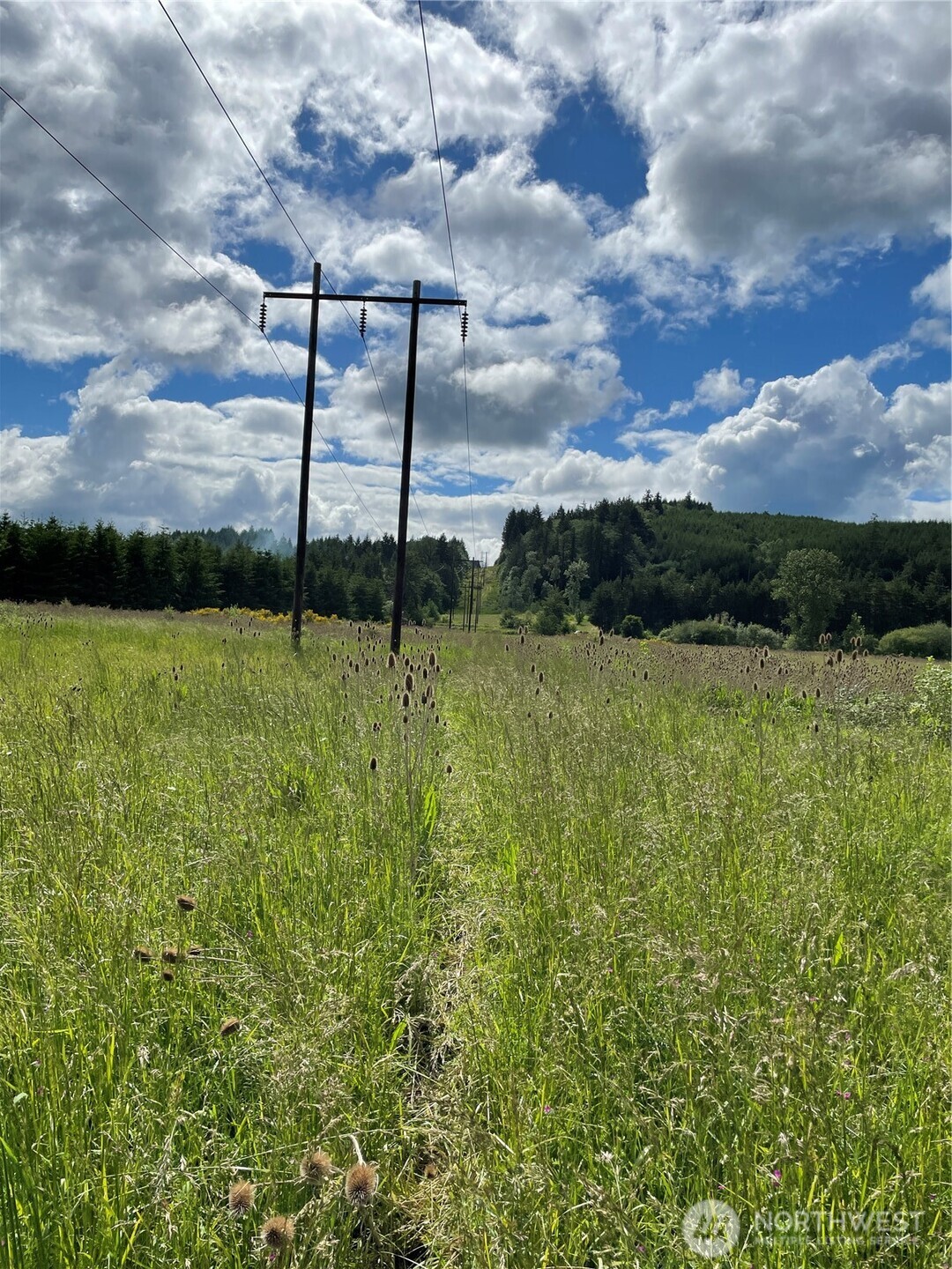 0 Boistfort Road Curtis, WA 98538 - Photo 9 of 24