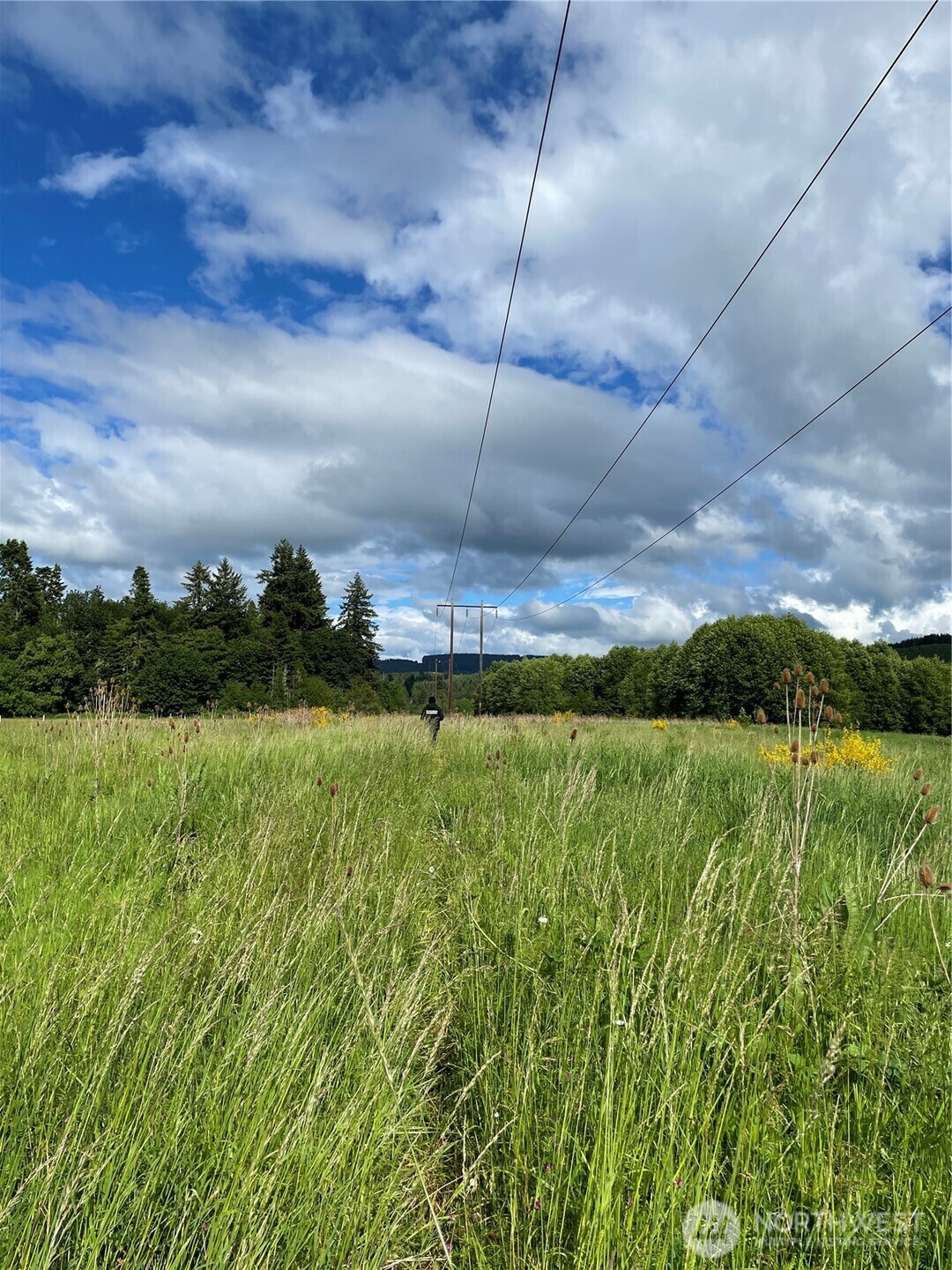 0 Boistfort Road Curtis, WA 98538 - Photo 10 of 24