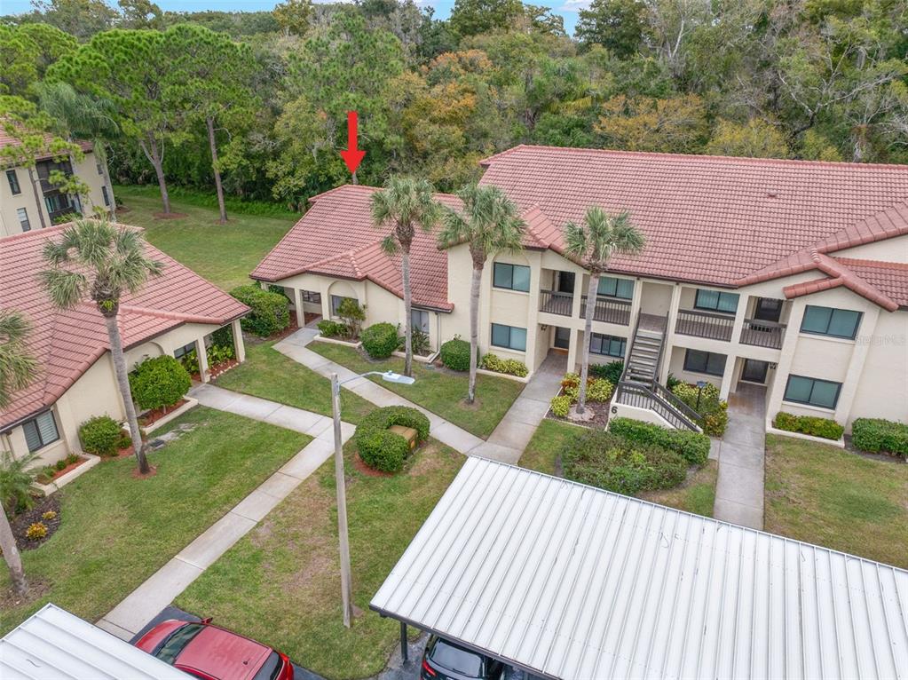 1801 East Lake Road South, Unit 6A Palm Harbor, FL 34685 - Photo 4 of 50