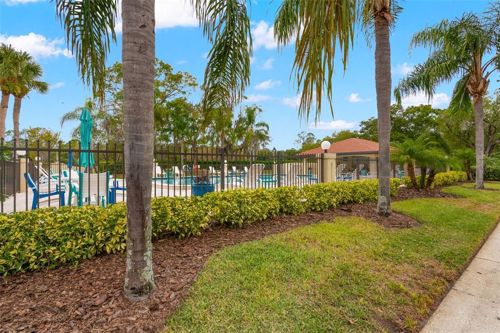 1801 East Lake Road South, Unit 6A Palm Harbor, FL 34685 - Photo 41 of 50