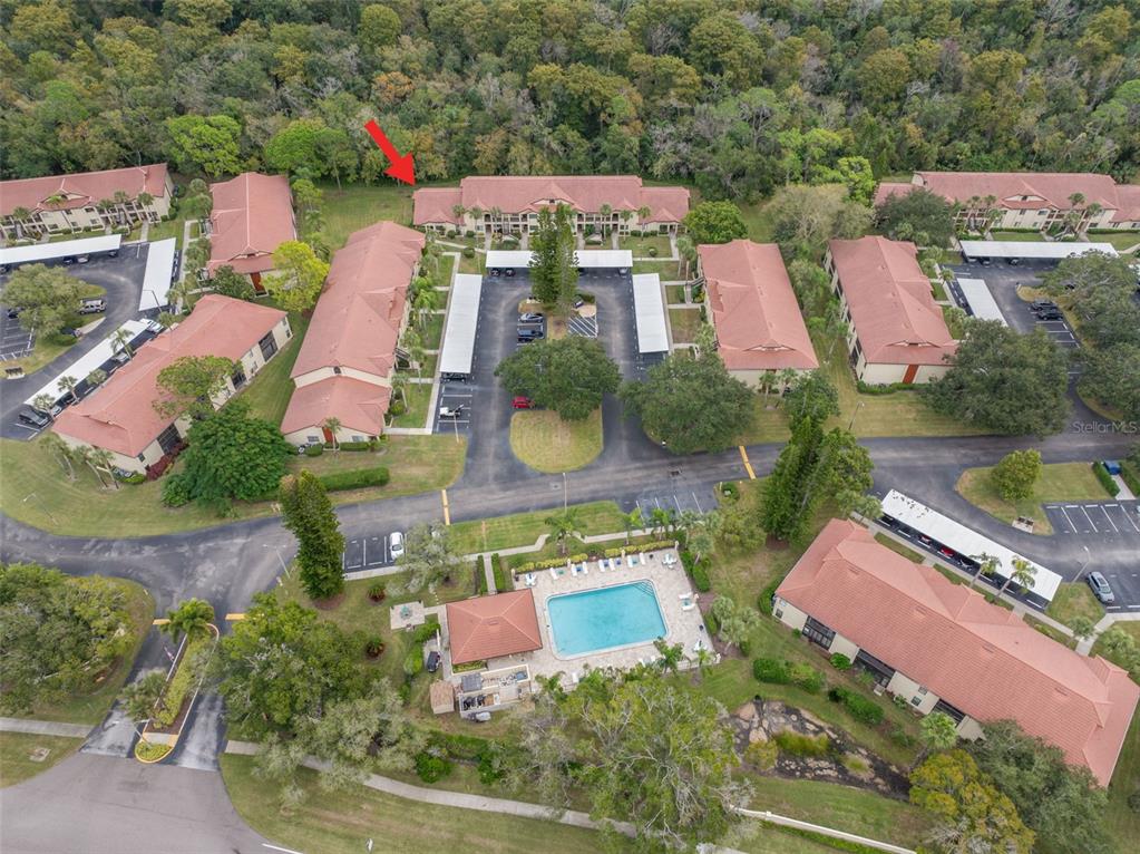 1801 East Lake Road South, Unit 6A Palm Harbor, FL 34685 - Photo 45 of 50