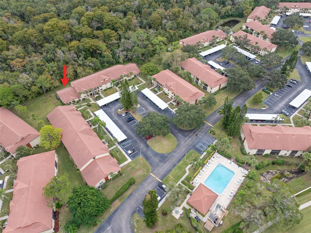 1801 East Lake Road South, Unit 6A Palm Harbor, FL 34685 - Photo 46 of 50