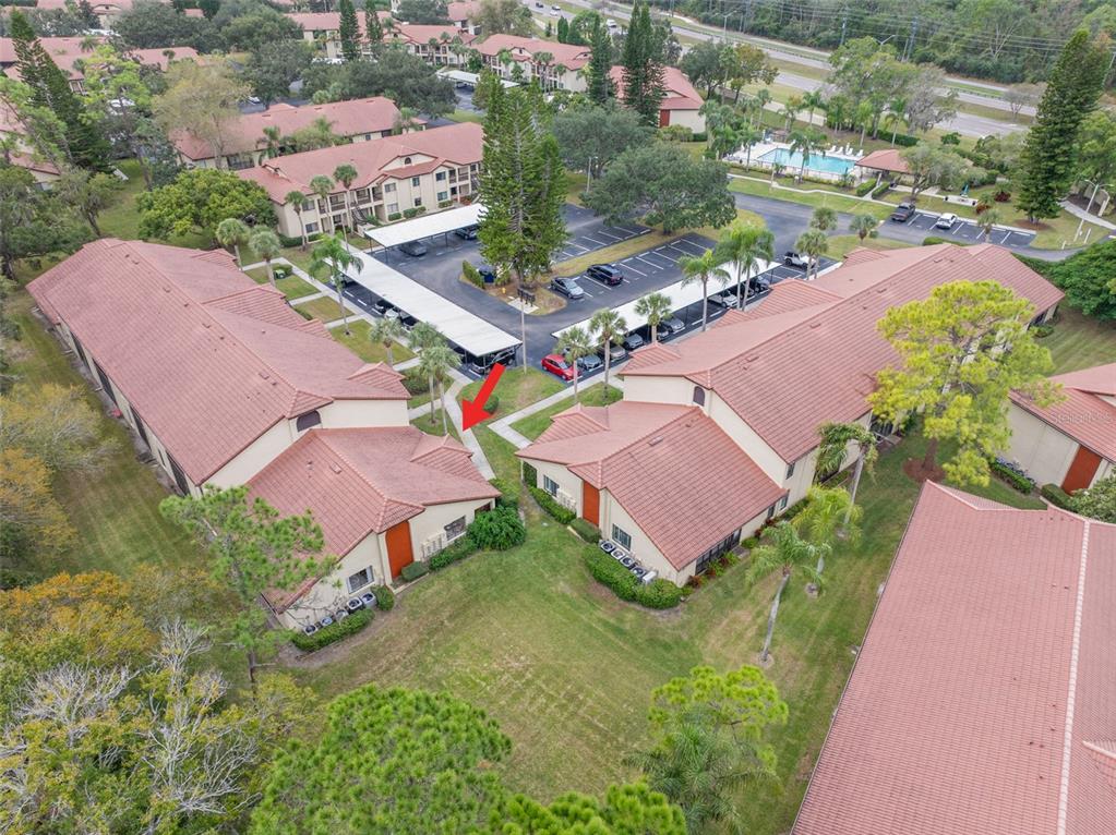 1801 East Lake Road South, Unit 6A Palm Harbor, FL 34685 - Photo 49 of 50