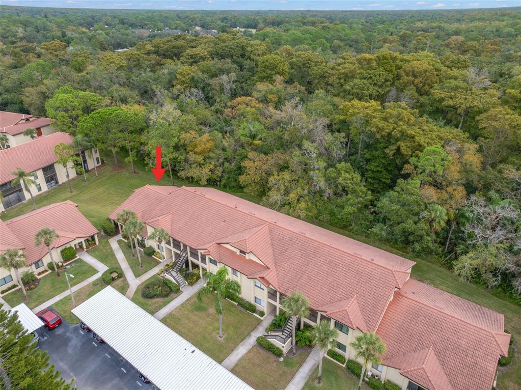 1801 East Lake Road South, Unit 6A Palm Harbor, FL 34685 - Photo 50 of 50