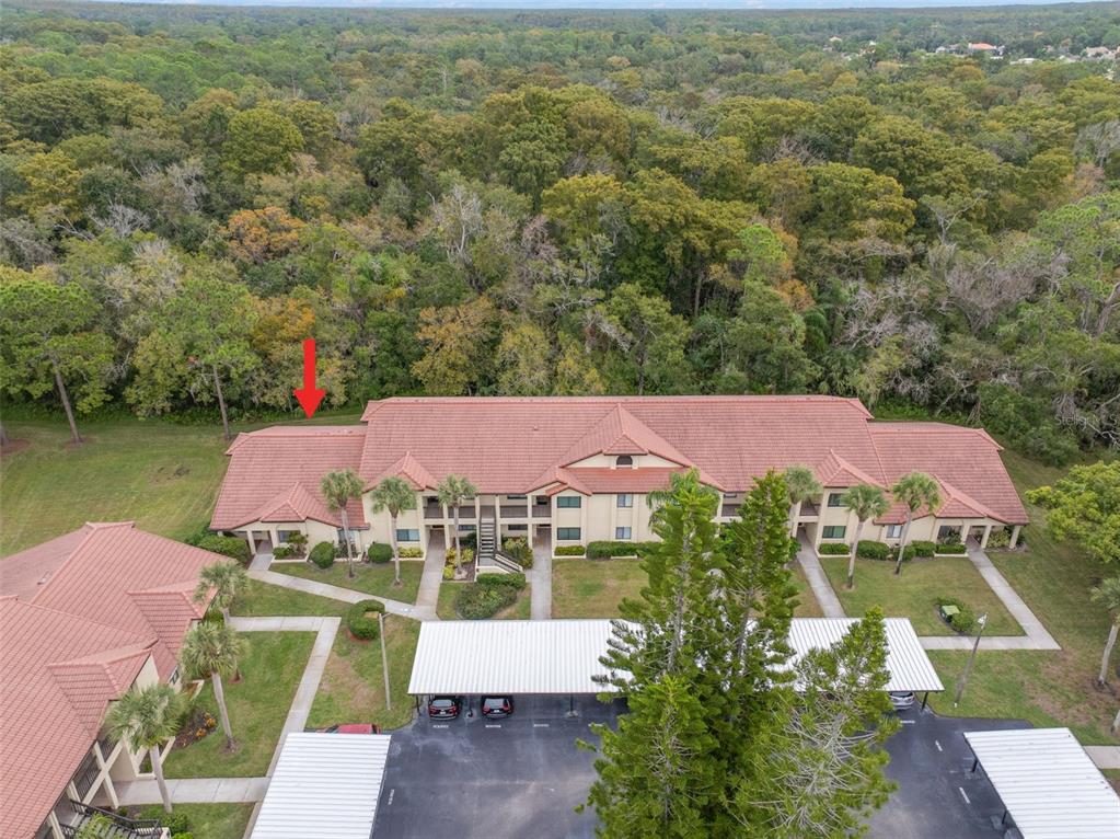 1801 East Lake Road South, Unit 6A Palm Harbor, FL 34685 - Photo 6 of 50