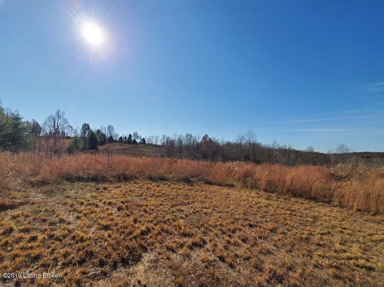 148 Turci Nevins Road Caneyville, KY 42721 - Photo 4 of 26 148 Turci Nevins Rd4