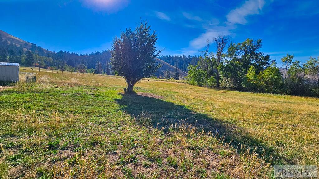 53 Runnin Bear Road Carmen, ID 83462 - Photo 14 of 66