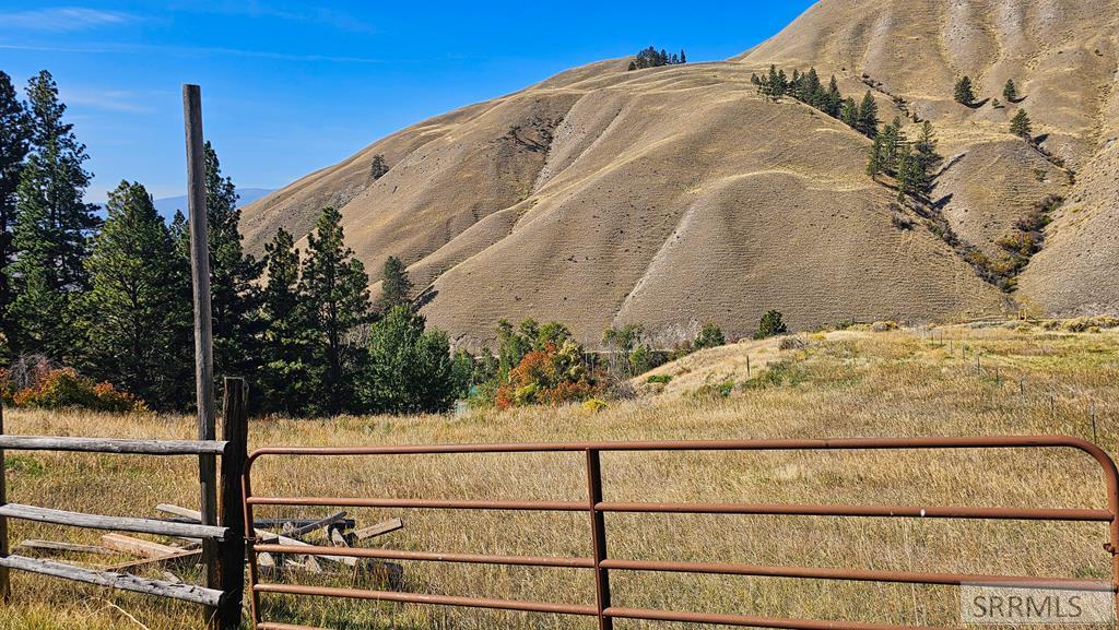 53 Runnin Bear Road Carmen, ID 83462 - Photo 60 of 66