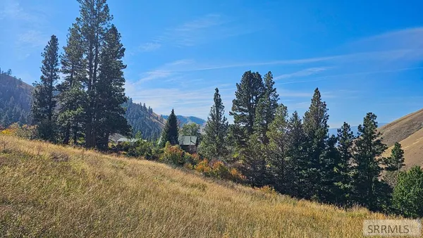 $495,000 | 53 Runnin Bear Road, Carmen, ID 83462