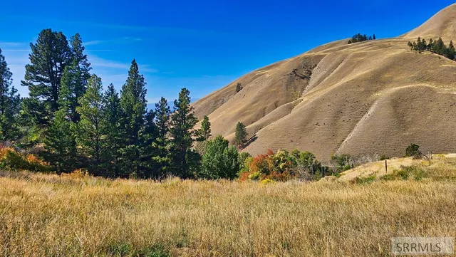 $495,000 | 53 Runnin Bear Road, Carmen, ID 83462