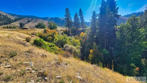 $495,000 | 53 Runnin Bear Road, Carmen, ID 83462