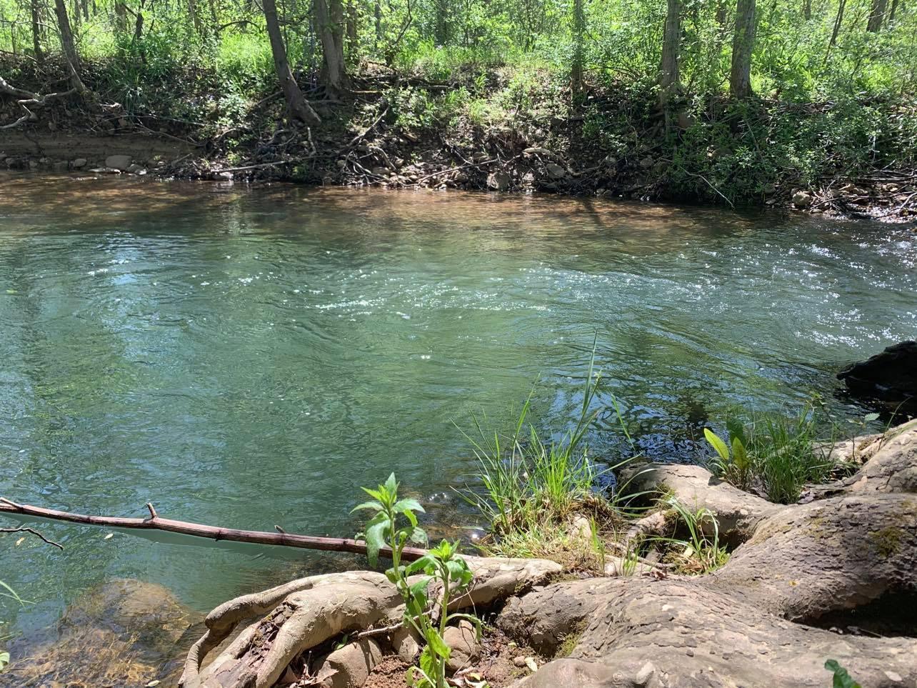 171 Hodges Road Buchanan, VA 24066 - Photo 22 of 48 Creek across the street