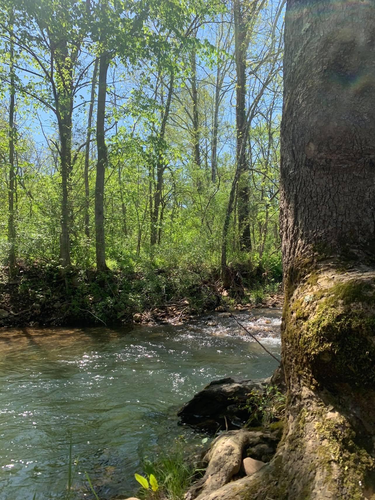 171 Hodges Road Buchanan, VA 24066 - Photo 23 of 48 Creek across the street