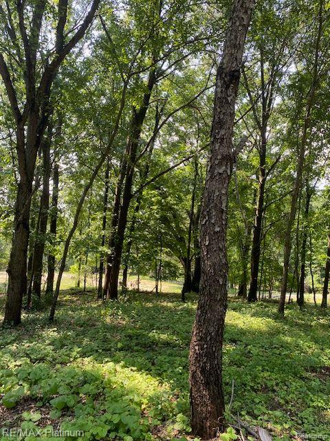 7 Sleaford-parcel 7 - 2 Acres Road Howell, MI 48843 - Photo 23 of 45