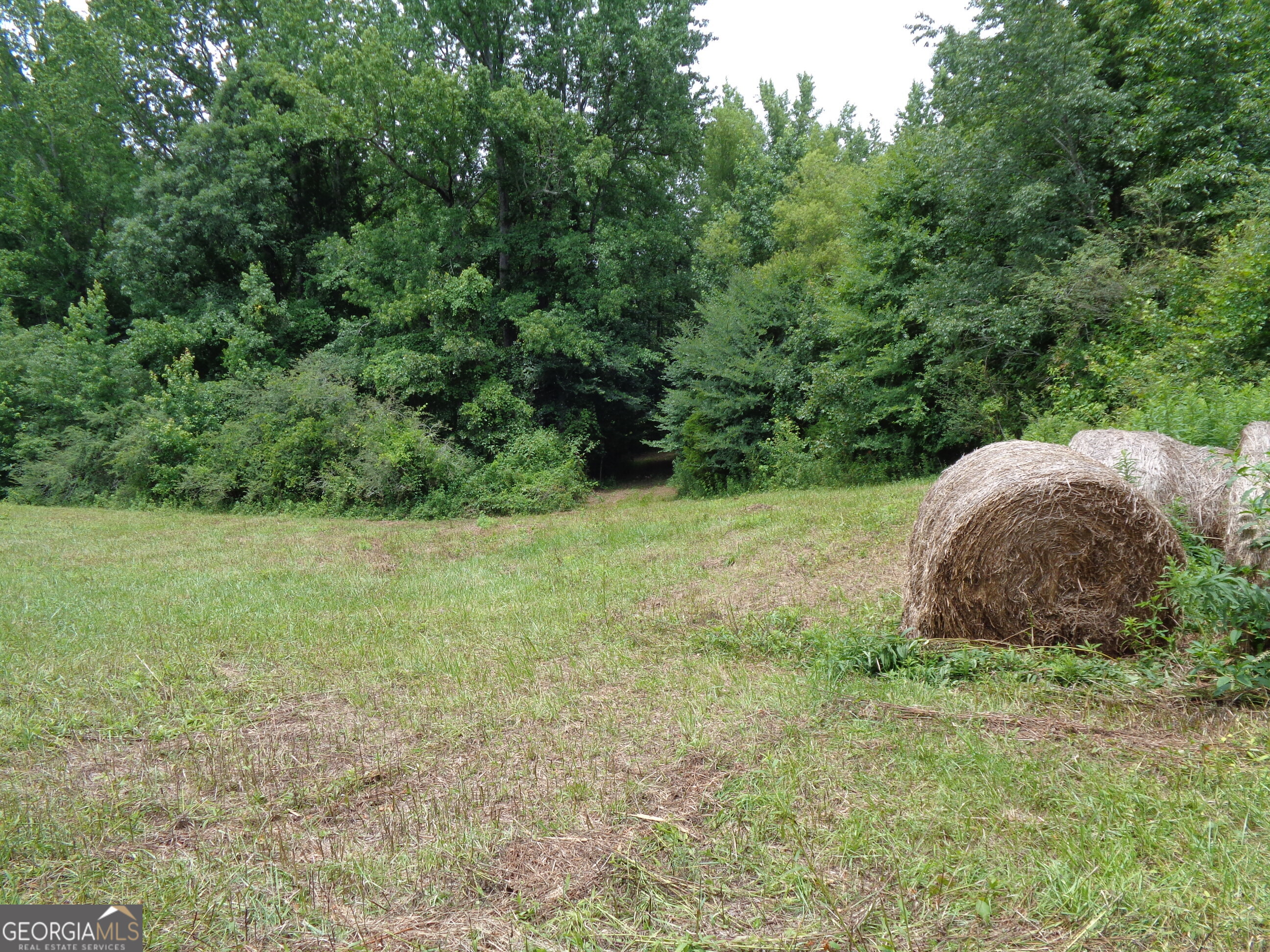 2411 Kesler Road Carnesville, GA 30521 - Photo 54 of 61 a view of a field of grass and trees