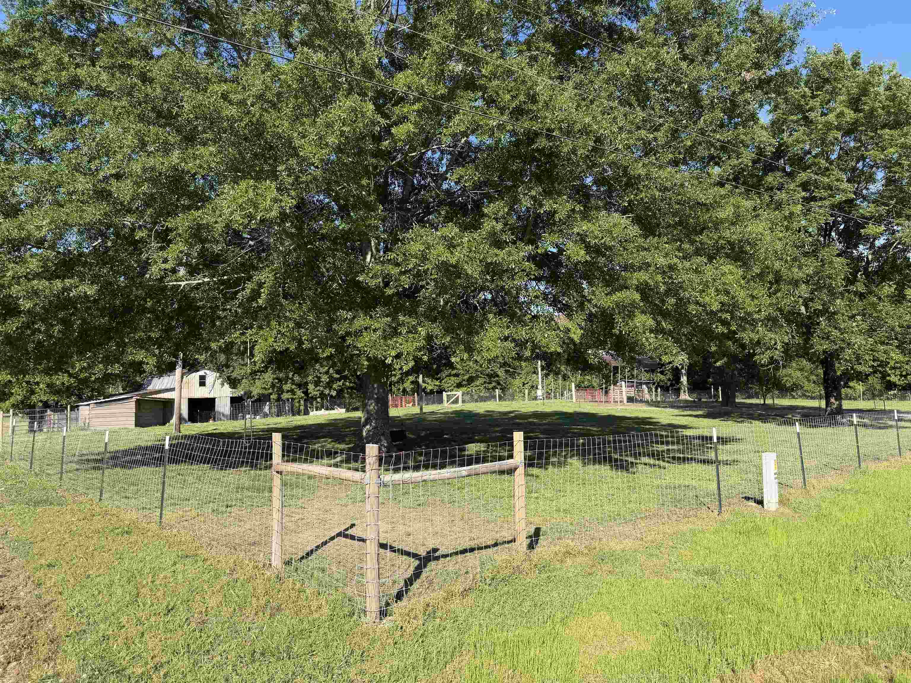 1120 Jot Em Down Road Morris Chapel, TN 38361 - Photo 38 of 40