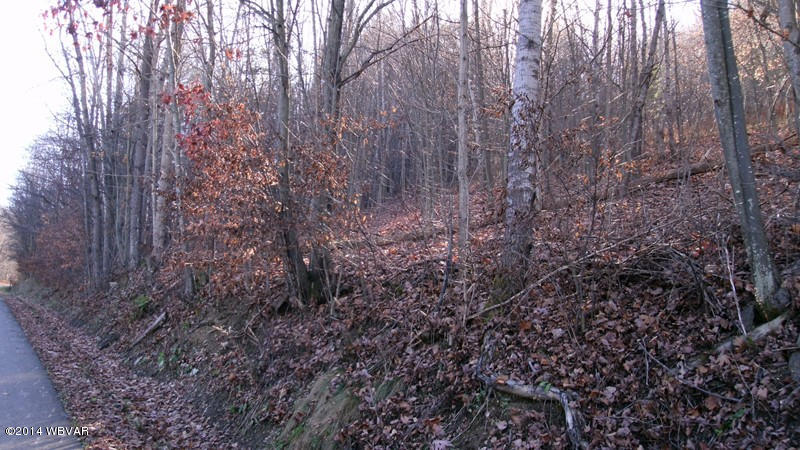 694 Jander Run Road Shinglehouse, PA 16748 - Photo 7 of 9 121777-07