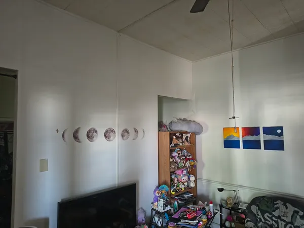 a room with lots of flowers and flowers