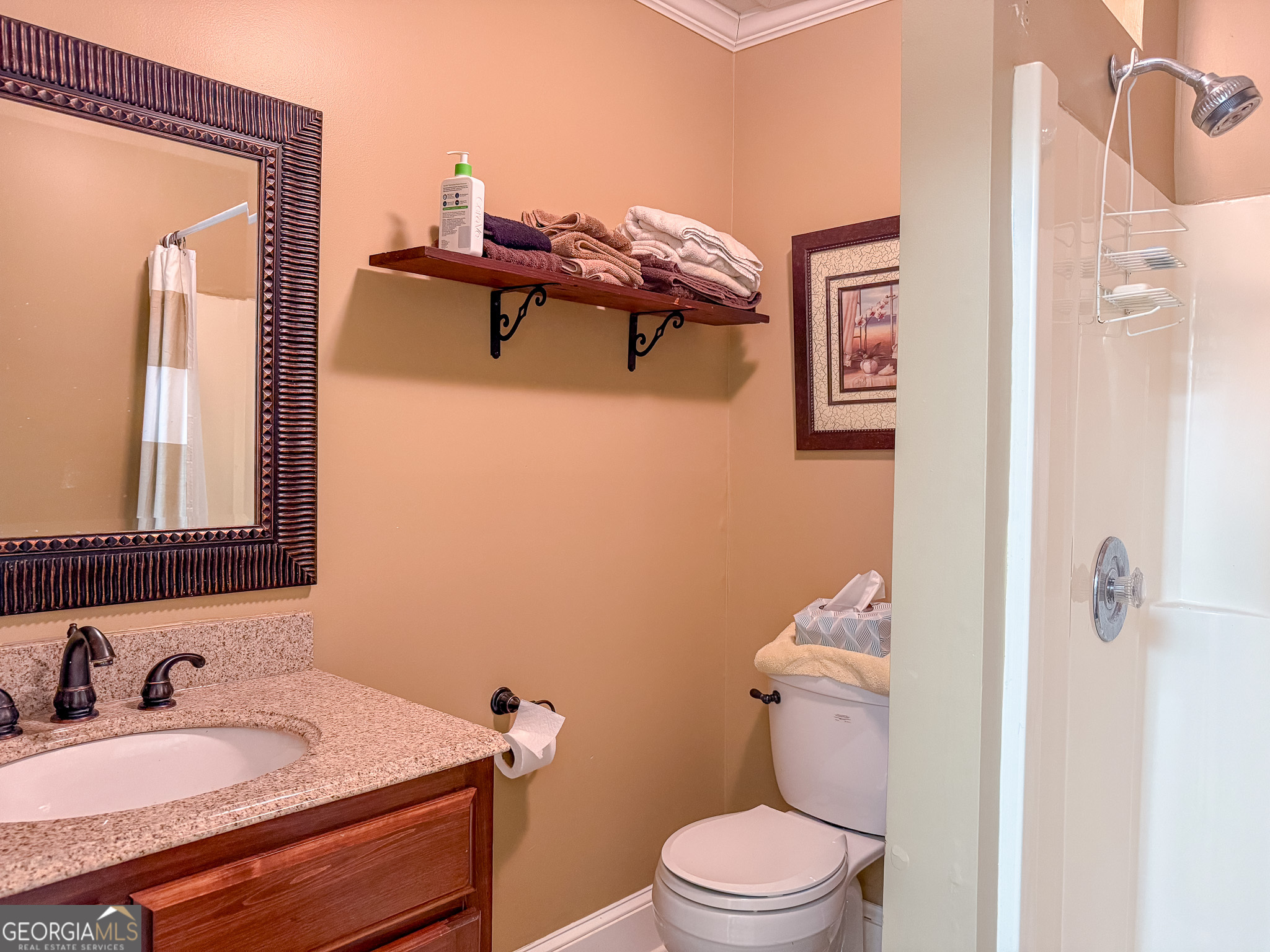 1003 Highway 27 Americus, GA 31709 - Photo 23 of 48 a bathroom with a sink vanity mirror and toilet