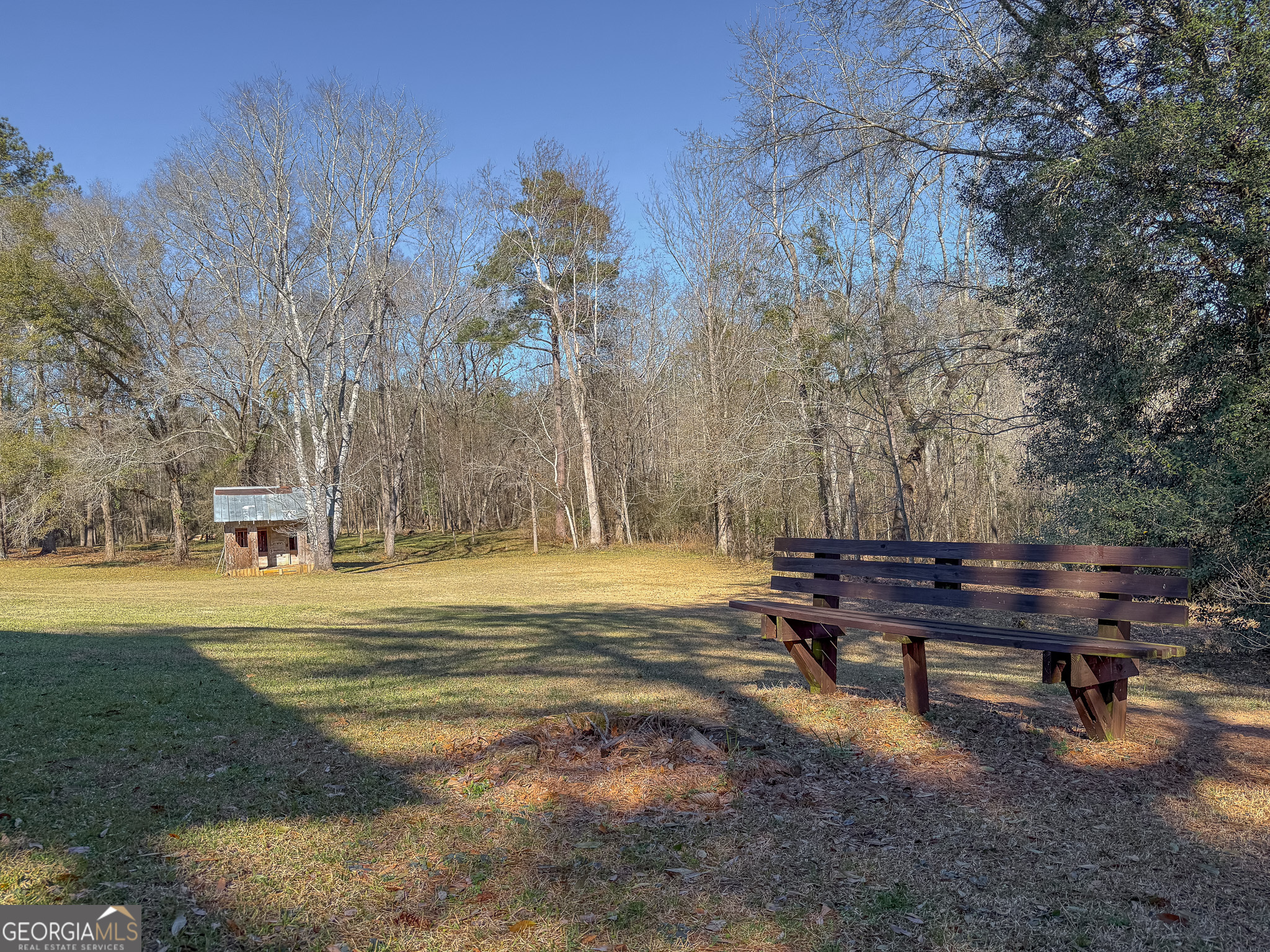 1003 Highway 27 Americus, GA 31709 - Photo 34 of 48 a swimming pool with outdoor seating and yard