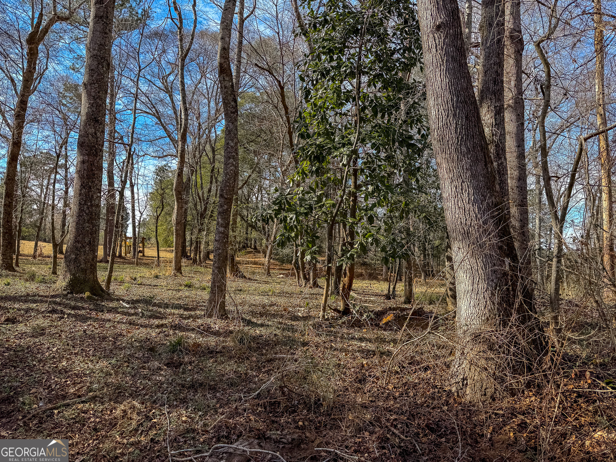 1003 Highway 27 Americus, GA 31709 - Photo 36 of 48 a view of a tree in the middle of a yard