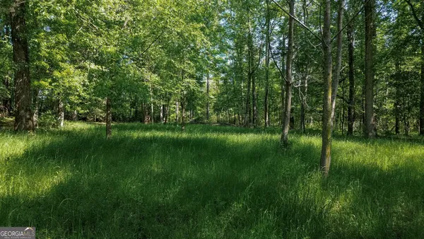 $535,000 | 1003 Highway 27, Americus, GA 31709