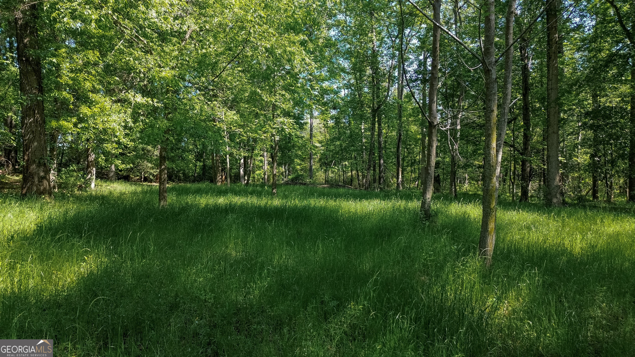 1003 Highway 27 Americus, GA 31709 - Photo 38 of 48 a view of a green field with a tree