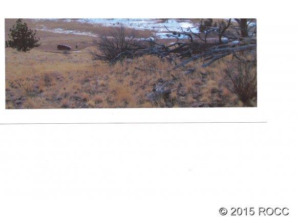 Tbd Antelope Road Hartsel, CO 80449 - Photo 1 of 1 a black and white photo of a house