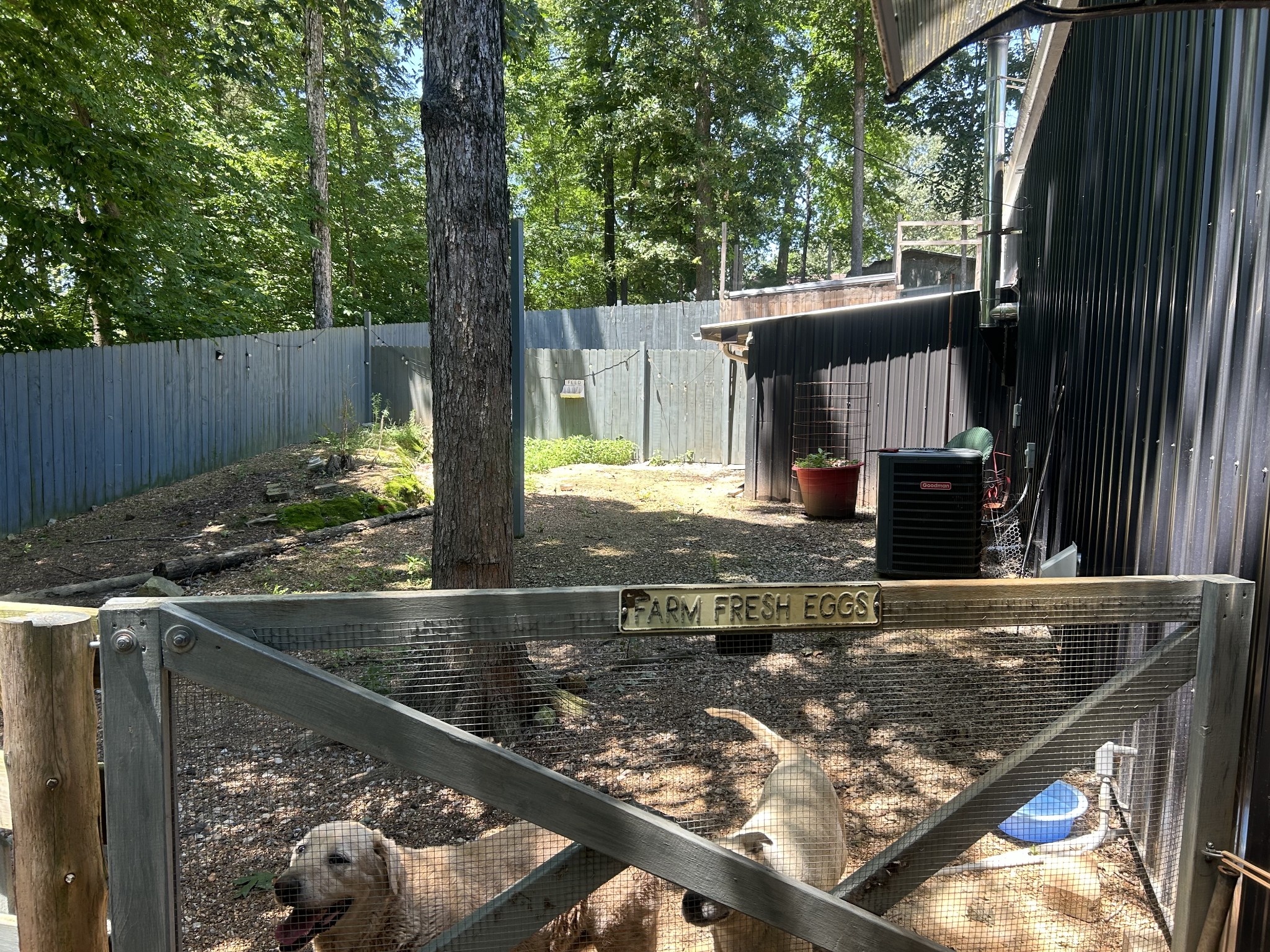 5013 Eva Road Camden, TN 38320 - Photo 14 of 37 a view of barbeque grill with yard