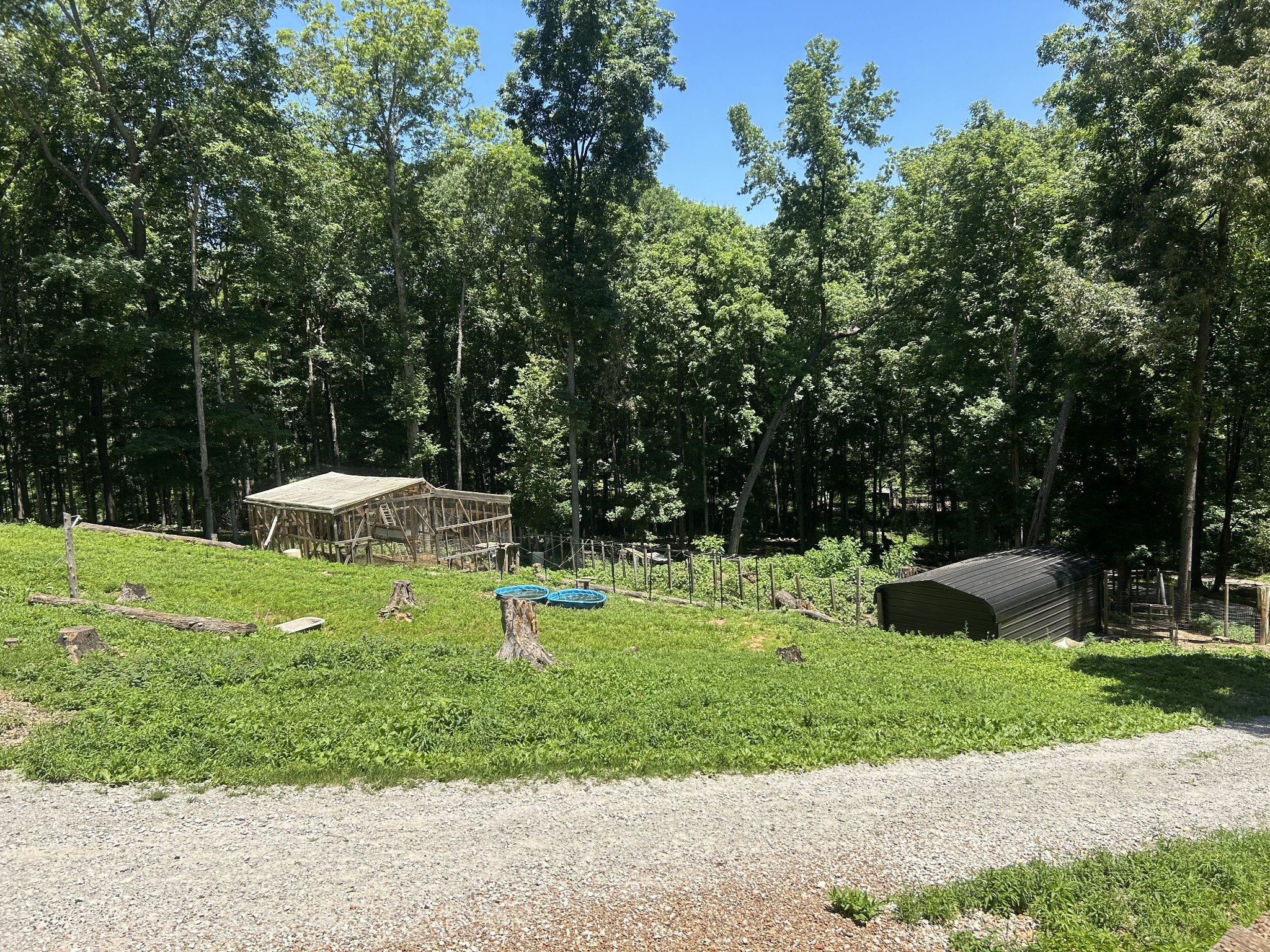 5013 Eva Road Camden, TN 38320 - Photo 17 of 37 a view of a garden with an outdoor space