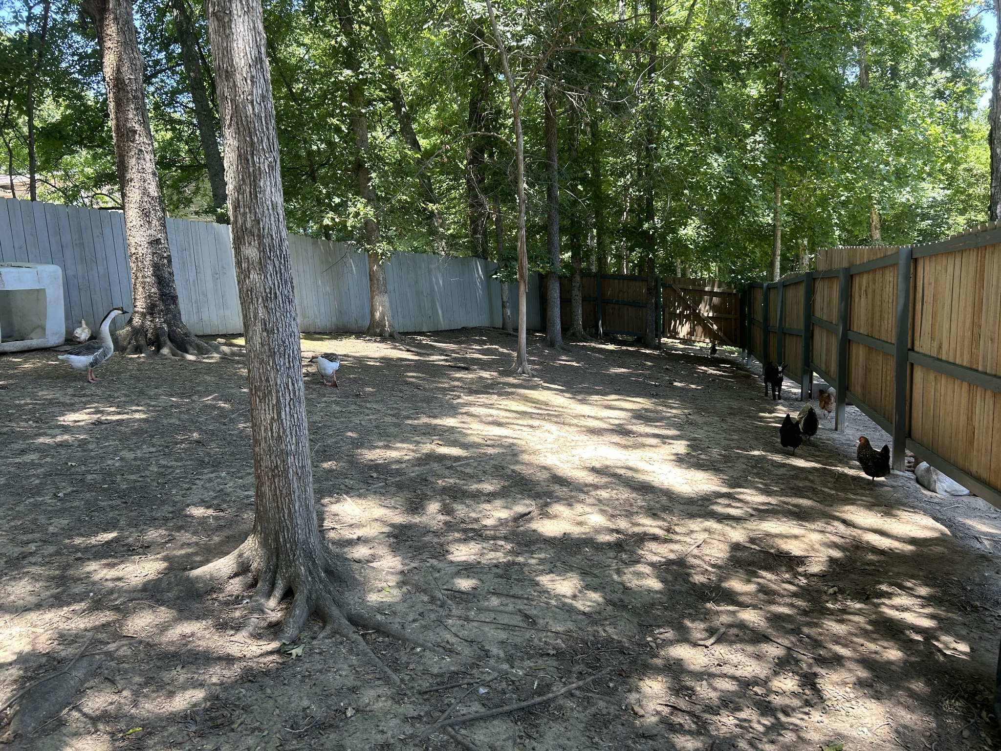 5013 Eva Road Camden, TN 38320 - Photo 20 of 37 a view of a backyard with tree s