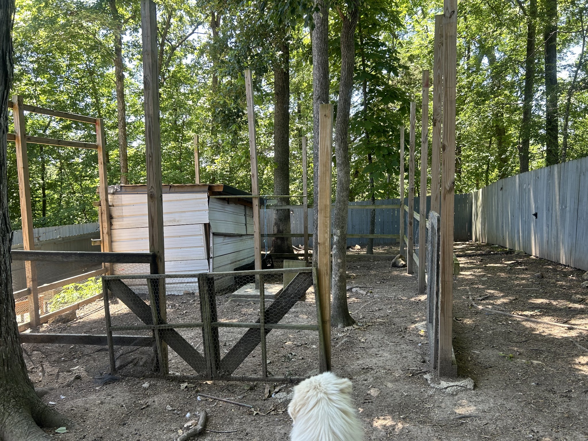 5013 Eva Road Camden, TN 38320 - Photo 22 of 37 a view of a bench in the backyard