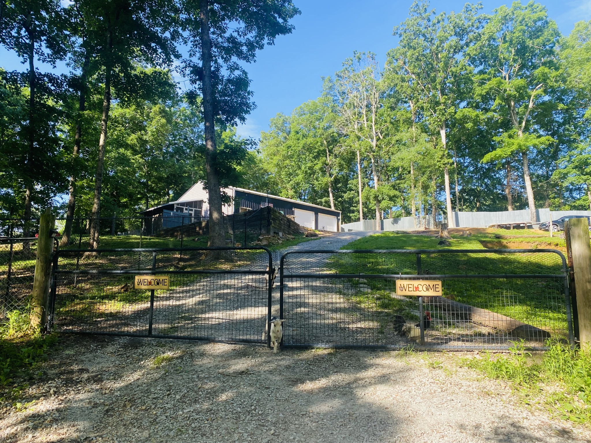 5013 Eva Road Camden, TN 38320 - Photo 23 of 37 a view of a park with large trees