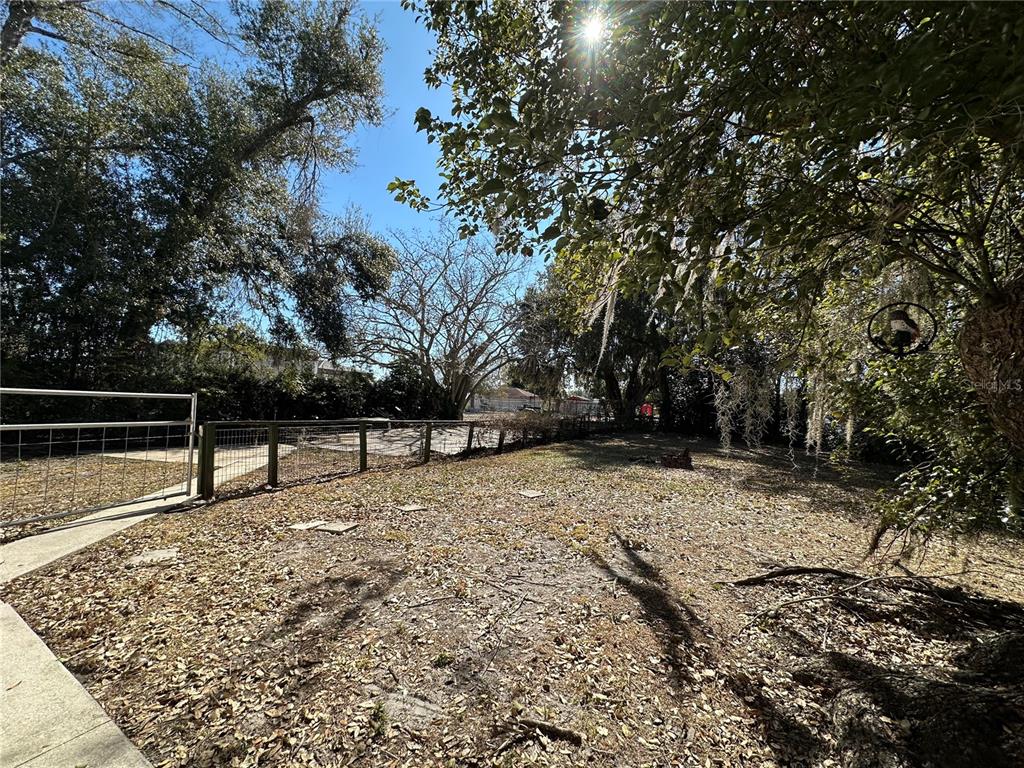 513 West Main Street Wauchula, FL 33873 - Photo 18 of 43 a backyard of a house with lots of green space
