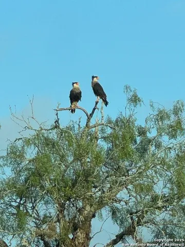 $590,000 | 731 Cr 325, George West, TX 78022