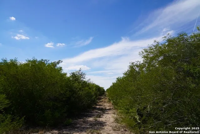 $615,000 | 731 Cr 325, George West, TX 78022