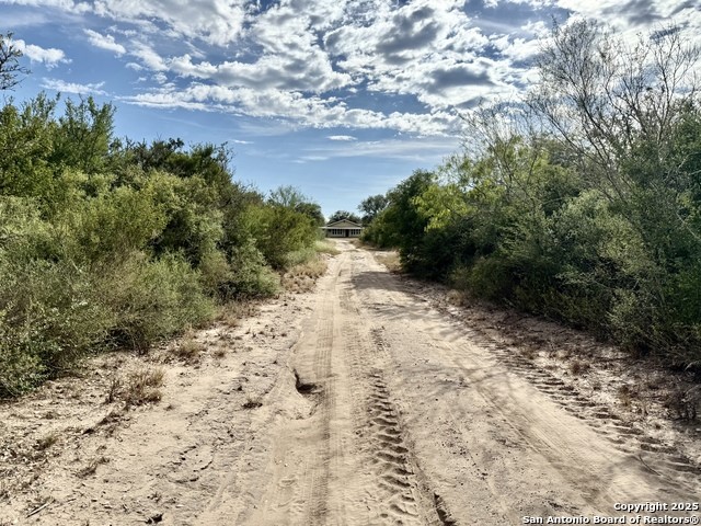 731 Cr 325 George West, TX 78022 - Photo 37 of 37 a view of a yard with trees in front of it