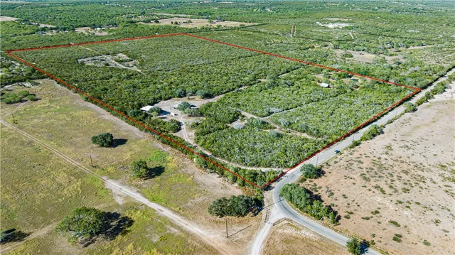 a green field with lots of trees in the background