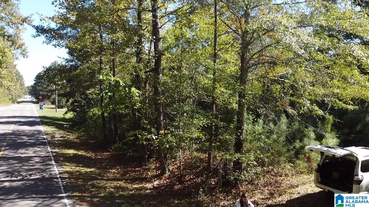 0 Odens Mill Road Sylacauga, AL 35151 - Photo 14 of 23