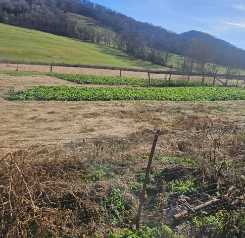 a view of a yard with a house