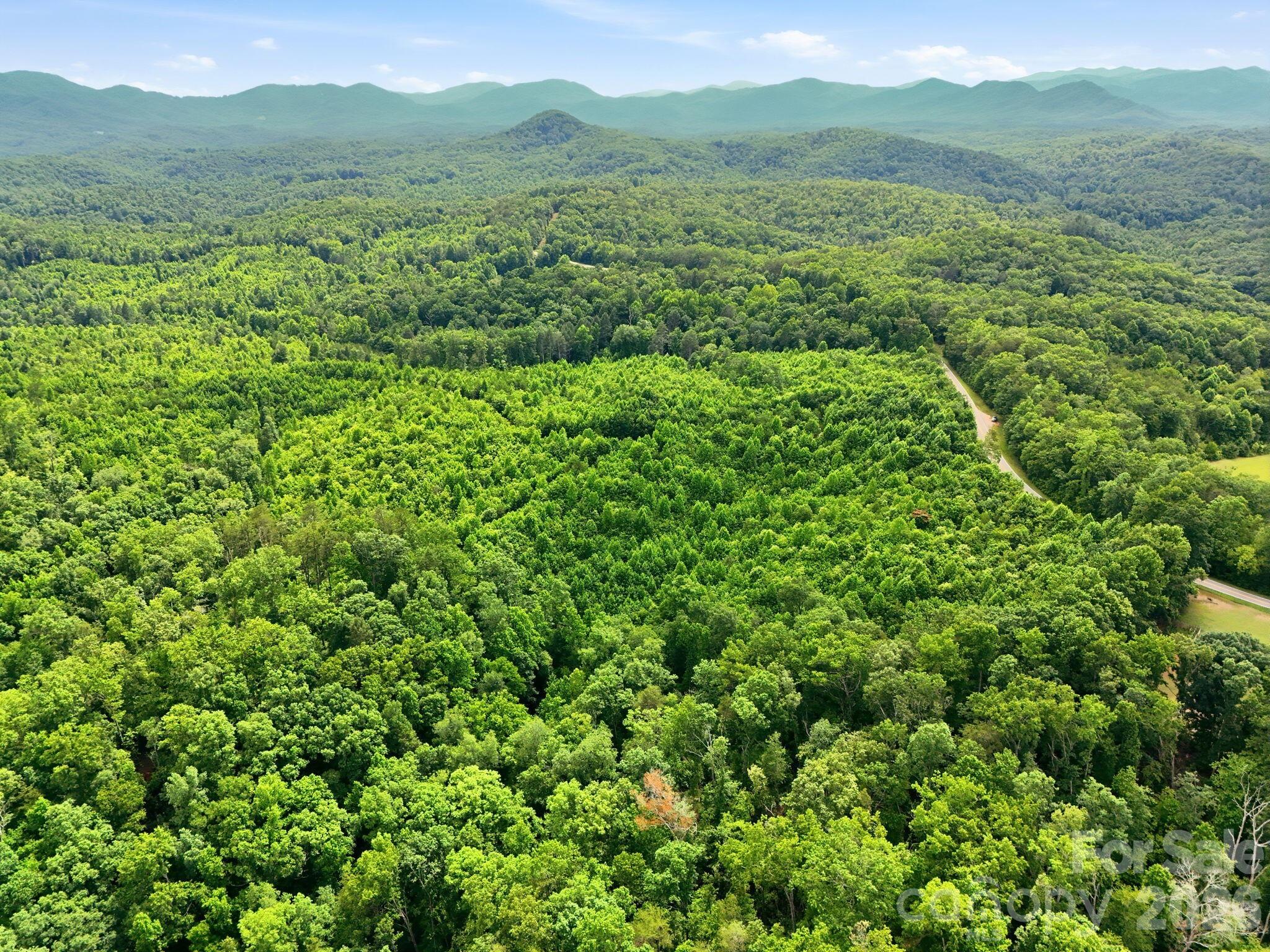 2301 Parker Padgett Road Old Fort, NC 28762 - Photo 5 of 17