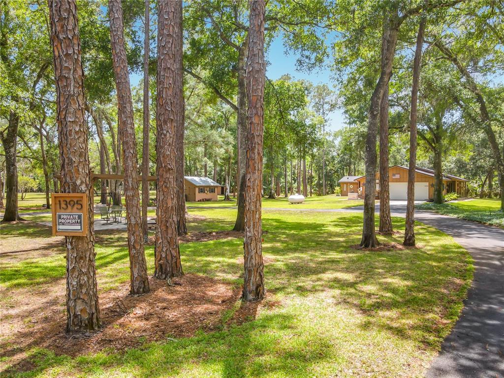 1395 Maytown Road Osteen, FL 32764 - Photo 52 of 65 a view of a yard with swimming pool