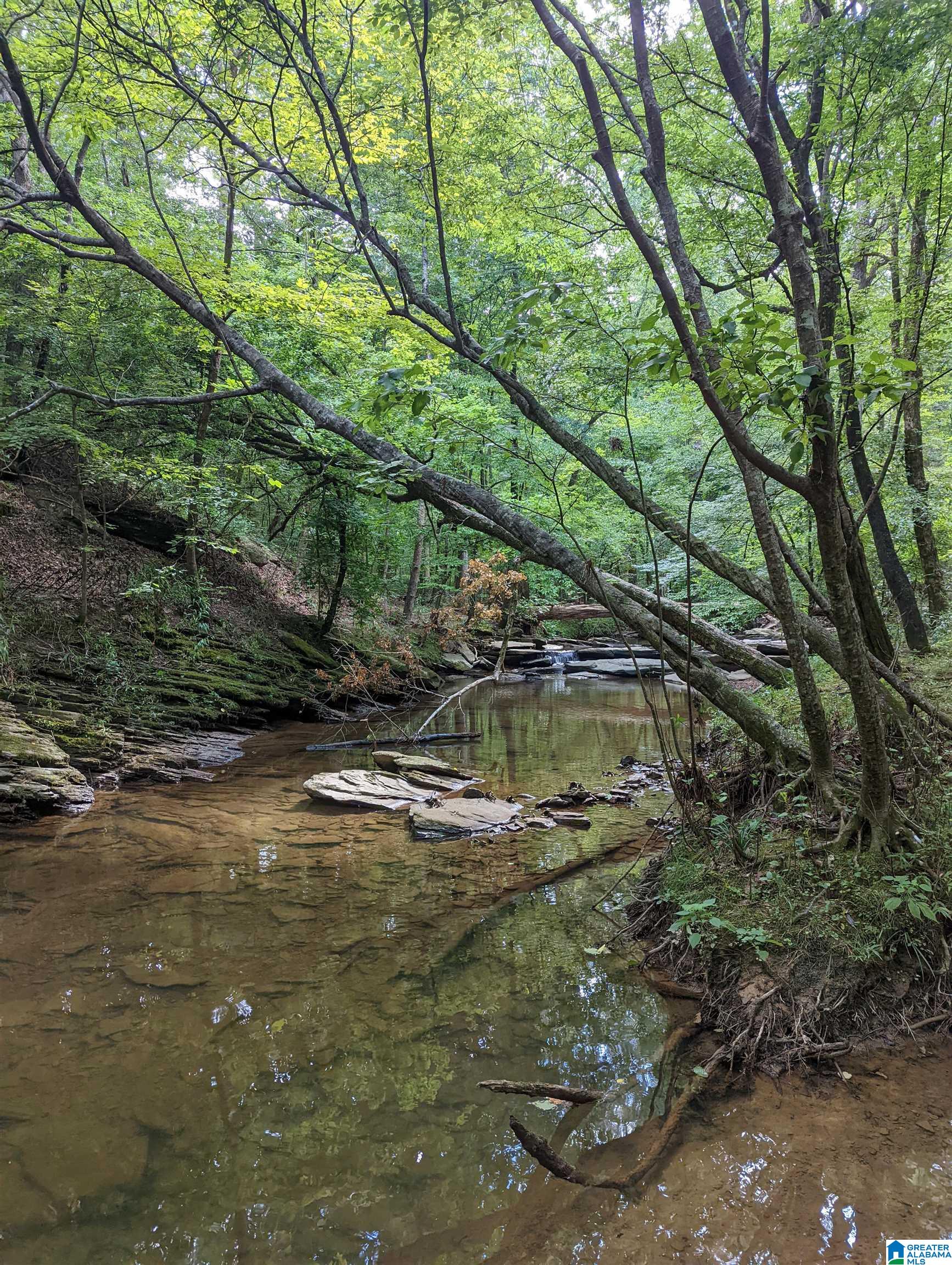0 Stevens Creek Road Birmingham, AL 35244 - Photo 10 of 11