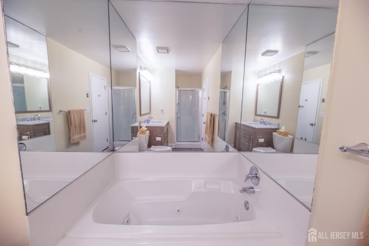 13 Mine Road Jamesburg, NJ 08831 - Photo 31 of 52 a bathroom with a bathtub sink and mirror