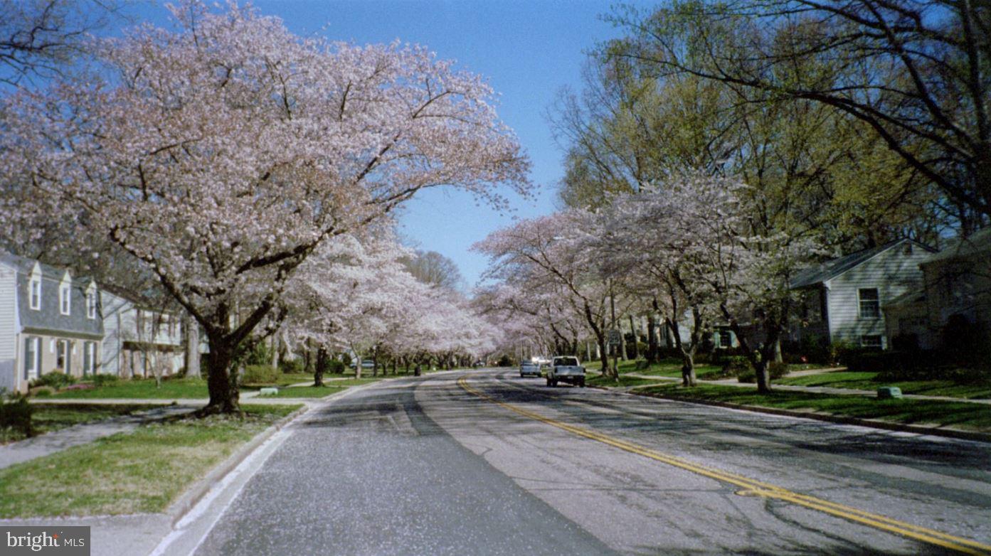 1762 Lang Drive Crofton, MD 21114 - Photo 32 of 32 Take a stroll along Crofton Parkway...