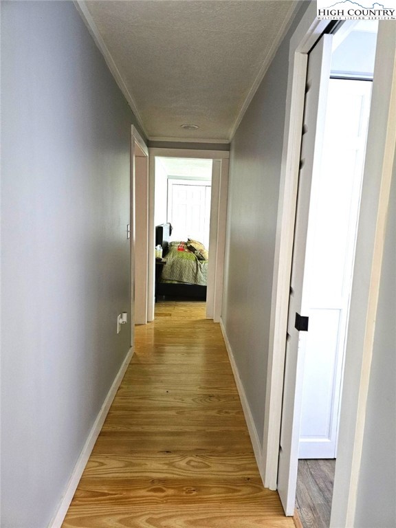 859 Phipps Road Sparta, NC 28675 - Photo 20 of 50 Gallery Image 20